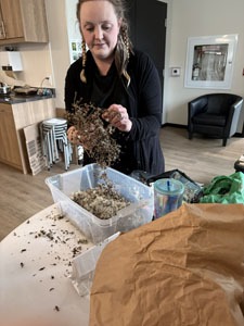Woman standing at a table sorting dried plant material into a plastic bin during a gardening activity.