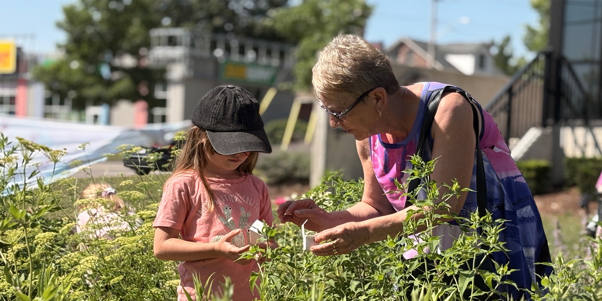 An older adult and a young child explore flowers and pollinator plants together in the Butterfly Garden at 544 Bridgeport Road East.