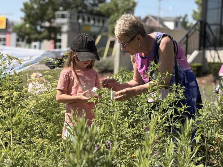 An older adult and a young child explore flowers and pollinator plants together in the Butterfly Garden at 544 Bridgeport Road East.